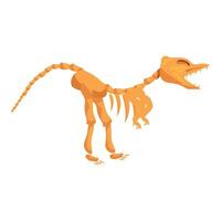 Dinosaur skeleton standing on two legs showing teeth vector