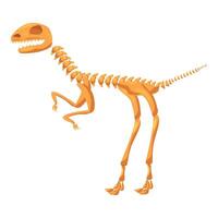 Dinosaur skeleton standing on two legs showing its teeth vector