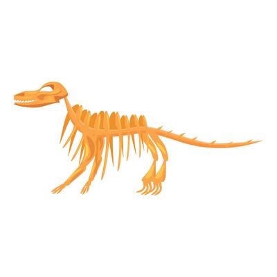 Dinosaur skeleton standing on two legs showing its teeth