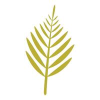 Single golden palm leaf standing tall on white background vector