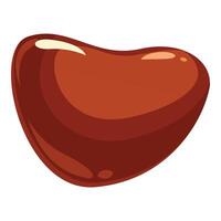 Single red kidney bean floating on white background vector