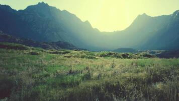 Dry yellow grass on the rocky mountain slope with heavy fog. mountain sunset video