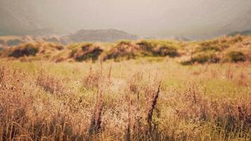 arid mountain terrain with sparse vegetation and many rocks. mountain sunset video