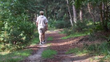 mulher dentro a floresta dentro bege suéter leva dela diariamente passos, respira a ar do pinho floresta, usos a inscrição em dela Smartphone para registro calorias queimado e contagem passos, 5g Internet, lento movimento video