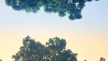 a view of the sky from above a park photo