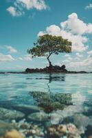Solitary Tree Reflecting in Clear Water on Rocky Outcrop photo