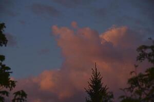 Pink and white clouds in the evening summer sky. Cumulus clouds. photo