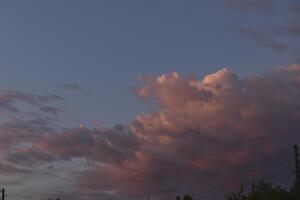 Pink and white clouds in the evening summer sky. Cumulus clouds. photo