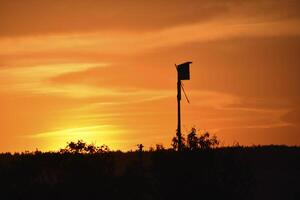 A beautiful sunset and a birdhouse on the horizon background. Rural landscape. photo