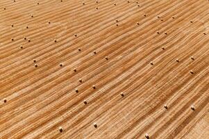 Hay on field aerial top view. Haying photo