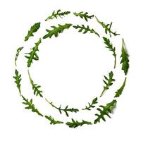 Pattern from arugula in round frame isolated photo