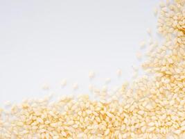 Sesame Seeds isolated on white background photo