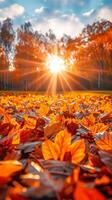 Poster with serene park with vibrant orange and yellow trees at sunset, with leaves crunching underfoot. Ideal for promoting autumn events, outdoor activities, and nature appreciation photo