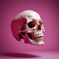 skull with plain background photo
