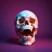 skull with plain background photo