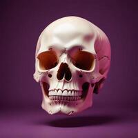 skull with plain background photo