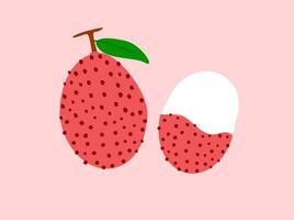 fresh lychee fruit illustrations isolated on background. Lychee art icon. Drawing vector