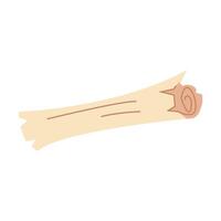 Old scroll on a white background. illustration vector