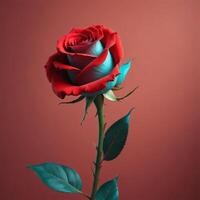 rose with plain background cinematic view photo
