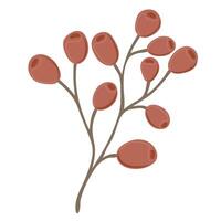 Simple Autumn twig with berries. Rowanberry. Hand drawn element for autumn decorative design, halloween invitation, harvest or thanksgiving vector