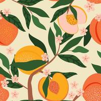 Peaches fruits and flowers with leaves on a branch form a seamless pattern. Summer tropical fruity vibe for fabrics, textiles, wrapping paper. vector
