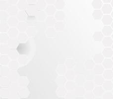 Abstract. Embossed Hexagon , honeycomb white Background ,light and shadow , vector