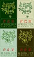 Set of drawing Vateria lanceifolia in Chinese in various colors. Hand drawn illustration. The Latin name is VATICA LANCEAEFOLIA BLUME. vector