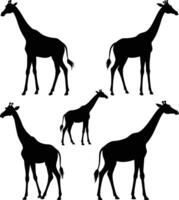 Set of giraffe silhouette collection isolated white background vector