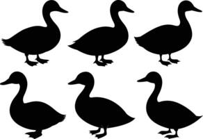 Standing duck silhouette set on white background vector