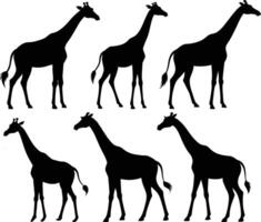 Set of giraffe silhouette collection isolated white background vector
