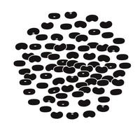 Big heap of black beans. Flat illustration isolated on white background. Group of black beans. Round shape. vector