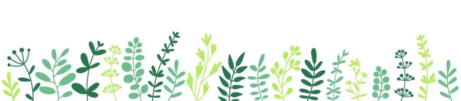 Herbs, twigs and leaves. Herbal border, horizontal bottom edging. Design element, flat illustration on white. vector