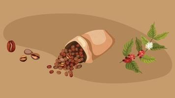 Coffee machines types and drinks illustration elements vector
