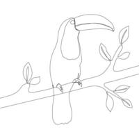 Continuous line toucan bird. One line drawing vector