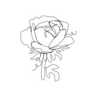Peony Flower Continuous One Line Drawing. Hand Drawn Minimalism Style of Simple Flower Line Art Drawing vector