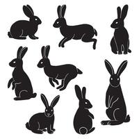 Rabbit Set, Isolated On White Background vector