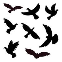 Silhouettes of doves in many different flying positions and angles vector