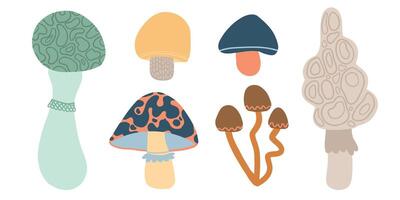 Colorful illustrated mushrooms in various shapes and patterns on a white background vector