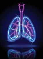 Human lung illustration consists of glowing watercolor and purple curves on a dark blue background with glowing intersections, medium in modern technology. vector