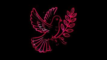Glowing looping Remembrance Day Dove flying with an olive branch. neon frame effect, black background. video