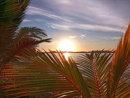 Silhouette of palm trees on the beach with beautiful sunrise view on the sea photo