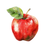 watercolor red apple on isolated background png