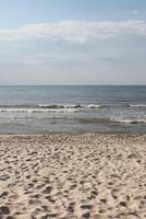 spring beach photo