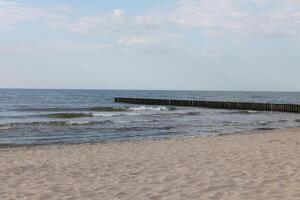 spring beach photo