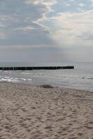 spring beach photo