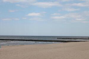 photo of spring beach