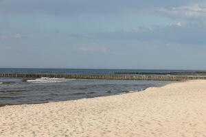 spring beach photo
