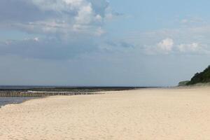 spring beach photo