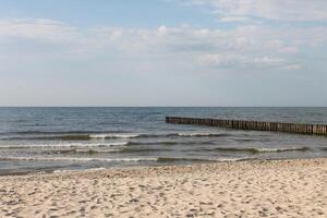 spring beach photo