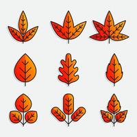 Set of 9 leaves with autumn colors. All objects are isolated and grouped. Gradient colors and transparent background are easy to adjust. vector